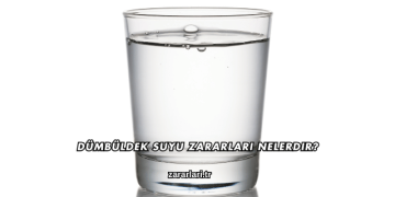 Dümbüldek Suyu Zararları Nelerdir?