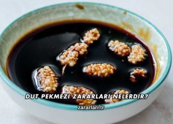 Dut Pekmezi Zararları Nelerdir?