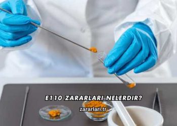 E110 Zararları Nelerdir?