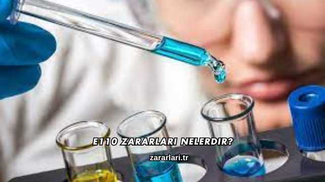 E110 Zararları Nelerdir?