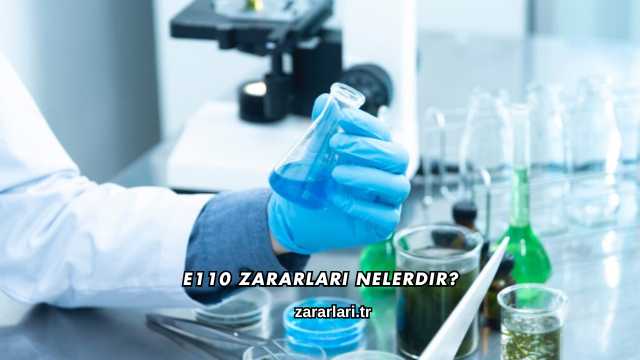 E110 Zararları Nelerdir?