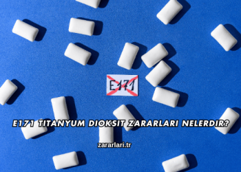 E171 Titanyum Dioksit Zararları Nelerdir?