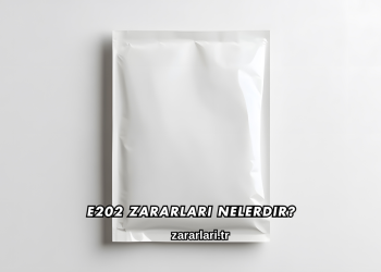 E202 Zararları Nelerdir?