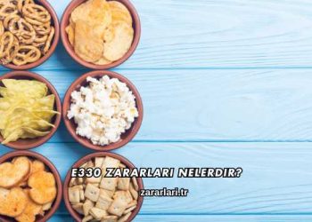 E330 Zararları Nelerdir?