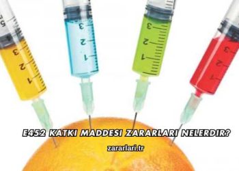 E452 Katkı Maddesi Zararları Nelerdir?