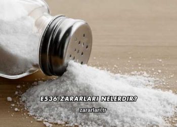 E536 Zararları Nelerdir?