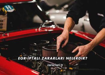 EGR İptali Zararları Nelerdir?