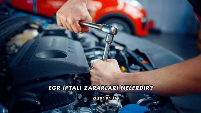EGR İptali Zararları Nelerdir?