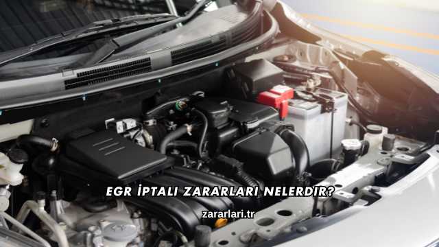 EGR İptali Zararları Nelerdir?
