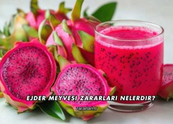 Ejder Meyvesi Zararları Nelerdir?