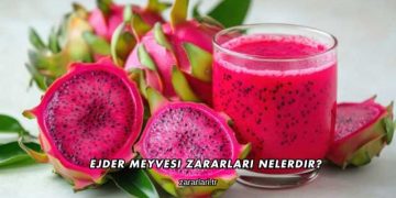 Ejder Meyvesi Zararları Nelerdir?