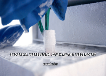 Ejderha Nefesinin Zararları Nelerdir?