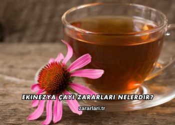 Ekinezya Çayı Zararları Nelerdir?