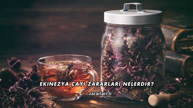 Ekinezya Çayı Zararları Nelerdir?