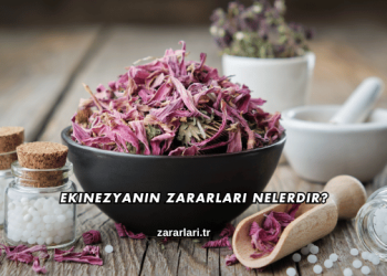 Ekinezyanın Zararları Nelerdir?