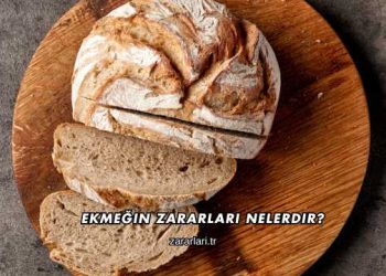 Ekmeğin Zararları Nelerdir?
