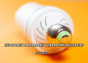 Ekonomik Lambaların Zararları Nelerdir?