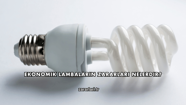 Ekonomik Lambaların Zararları Nelerdir?