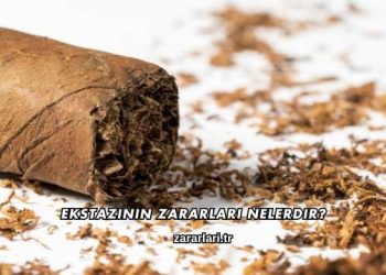 Ekstazinin Zararları Nelerdir?