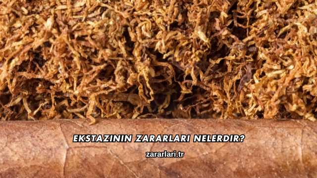 Ekstazinin Zararları Nelerdir?