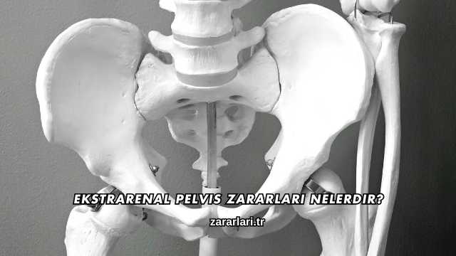 Ekstrarenal Pelvis Zararları Nelerdir?
