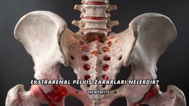 Ekstrarenal Pelvis Zararları Nelerdir?
