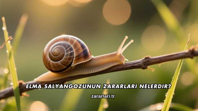 Elma Salyangozunun Zararları Nelerdir?