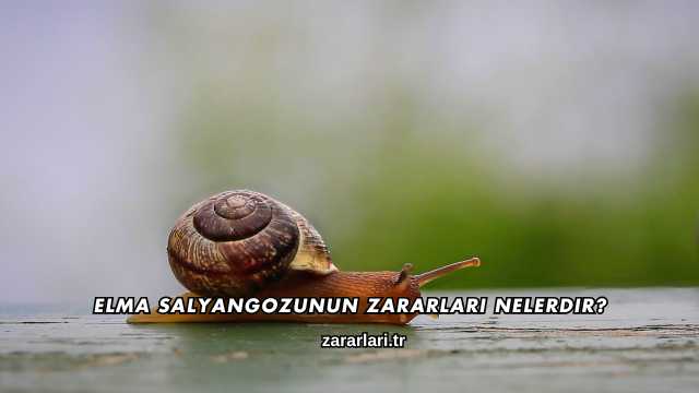 Elma Salyangozunun Zararları Nelerdir?