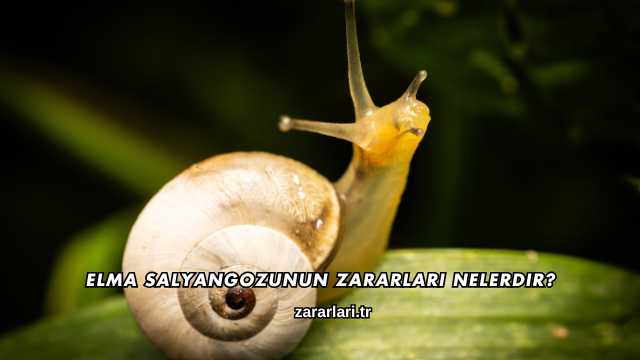 Elma Salyangozunun Zararları Nelerdir?