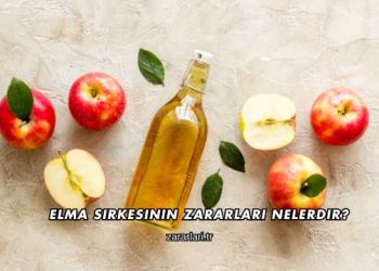 Elma Sirkesinin Zararları Nelerdir?