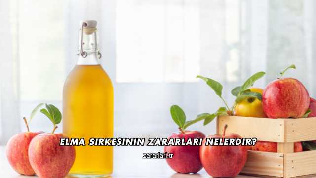 Elma Sirkesinin Zararları Nelerdir?