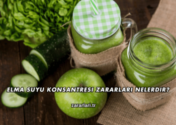 Elma Suyu Konsantresi Zararları Nelerdir?