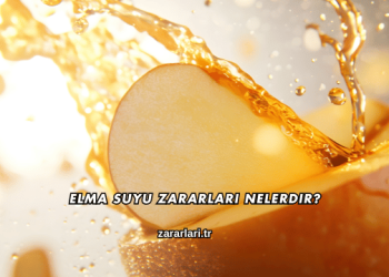 Elma Suyu Zararları Nelerdir?