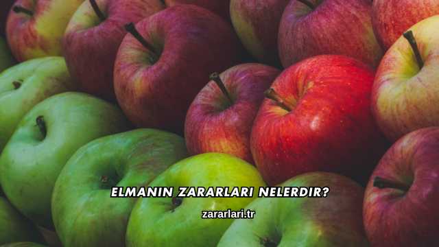 Elmanın Zararları Nelerdir?