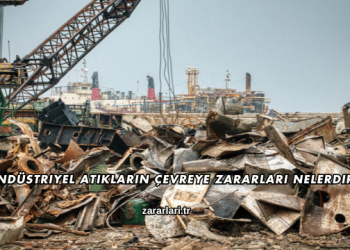 Endüstriyel Atıkların Çevreye Zararları Nelerdir?