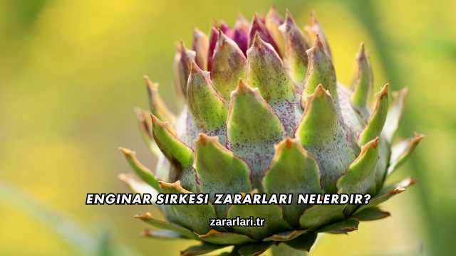 Enginar Sirkesi Zararları Nelerdir?