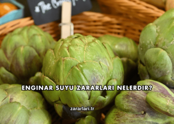 Enginar Suyu Zararları Nelerdir?