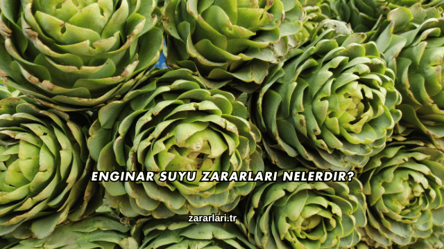 Enginar Suyu Zararları Nelerdir?