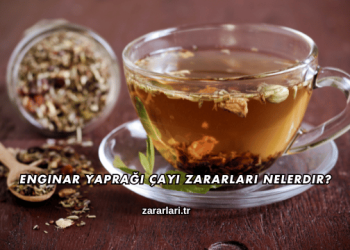 Enginar Yaprağı Çayı Zararları Nelerdir?