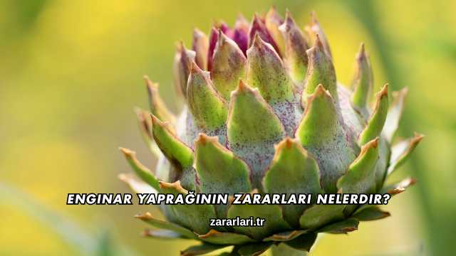Enginar Yaprağının Zararları Nelerdir?