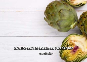 Enginarın Zararları Nelerdir?