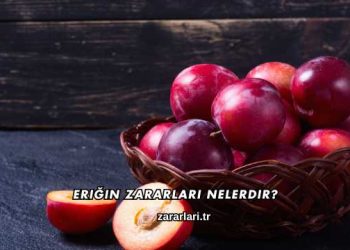 Eriğin Zararları Nelerdir?