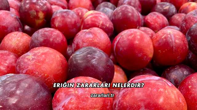 Eriğin Zararları Nelerdir?
