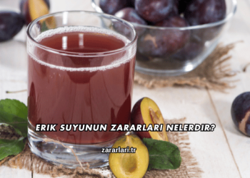 Erik Suyunun Zararları Nelerdir?
