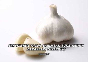 Erkeklerde Fazla Sarımsak Tüketiminin Zararları Nelerdir?