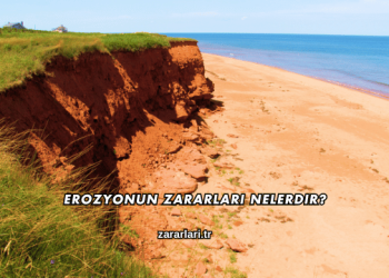 Erozyonun Zararları Nelerdir?
