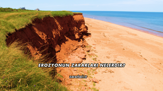Erozyonun Zararları Nelerdir?