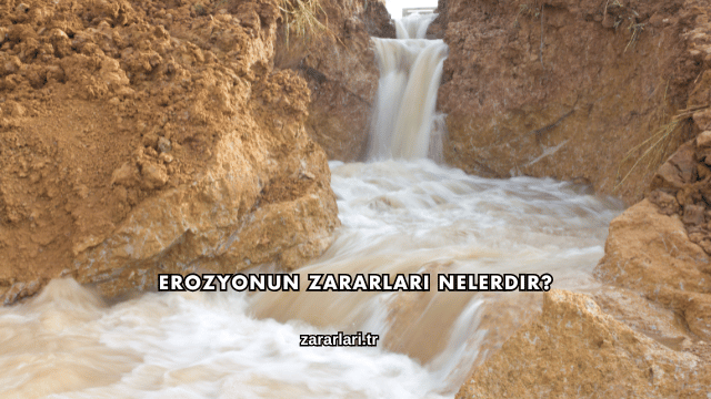 Erozyonun Zararları Nelerdir?