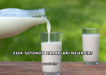 Eşek Sütünün Zararları Nelerdir?