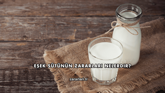 Eşek Sütünün Zararları Nelerdir?